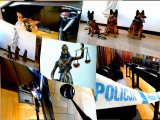 zdjęcie kolorowe, kolaż różnych zdjęć na których są psy służbowe, podobne do owczarków niemieckich, figura temidy, wisząca taśma z napisem policja