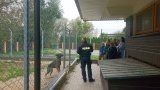 Przewodnik psa służbowego wraz z uczniami na terenie boksów. Obok pies służbowy zamknięty w kojcu.