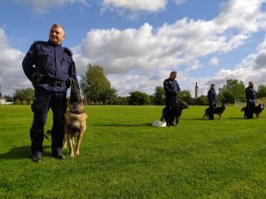 Policjanci wykonują pokaz posłuszeństwa grupowego psów służbowych.