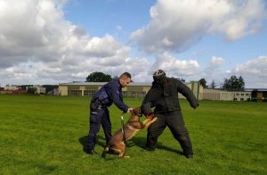 Policjanci prezentują wykorzystanie psa służbowego jako środka przymusu bezpośredniego.