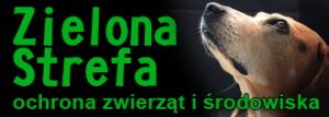 krzywdzone zwierzęta