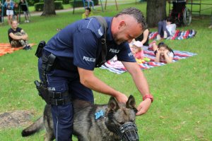 Przewodnik policyjnego psa służbowego przygotowuje zwierzę do pokazu umiejętności.