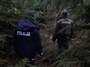 Dzielnicowa z Komendy Powiatowej Policji w Sokółce wraz z funkcjonariuszem Straży Leśnej w trakcie działań &quot;Choinka&quot; na terenie lasu.