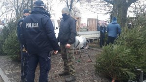 Policjant wraz z funkcjonariuszem Straży Miejskiej podczas rozmowy z mężczyzną sprzedającym  świąteczne drzewka w centrum miasta Sokółka.