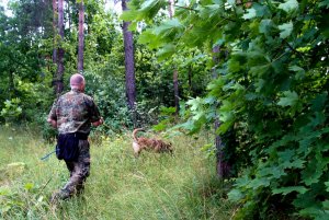 las, mężczyzna przed nim biegnący pies