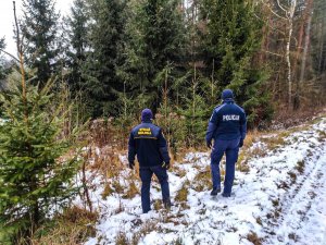 policjantka i strażnik miejski w lesie