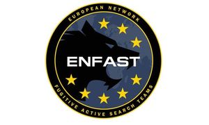 Logo biura ENFAST na środku okręgu napis enfast tło stanowi czarny wilk