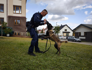 Policjant bawi się z psem.