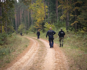 Policjanci szukają w lesie kobiety.