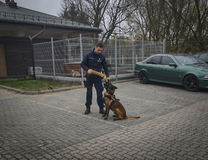 Policjant z psem.