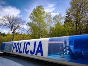 Światła błyskowe radiowozu, w tle las.