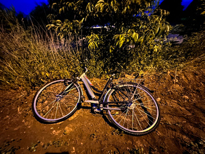 Rower leżący przy krzakach.