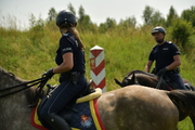 Policjanci jeżdżący na koniach służbowych