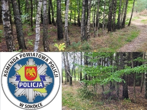 Las i logo Komendy Powiatowej Policji w Sokółce.