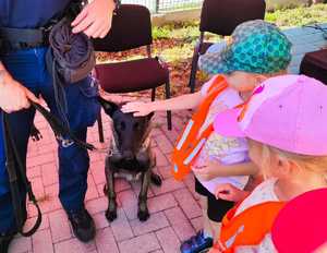 Dzieci z policyjnym psem.