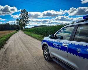 Radiowóz na polnej drodze