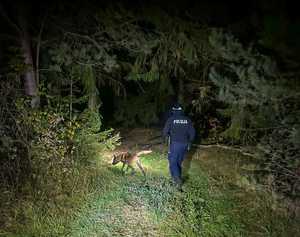 Policjant z psem szukają zaginionego mężczyzny