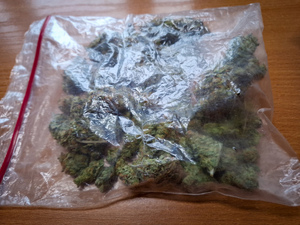 Zielony susz w woreczku strunowym