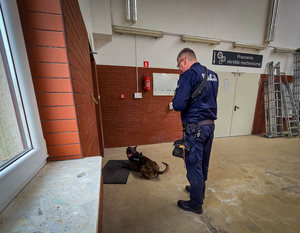Szkolenie policyjnych psów.