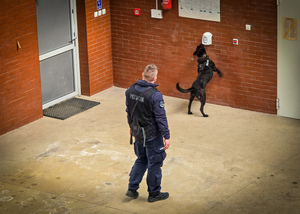 Szkolenie policyjnych psów