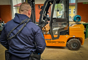 Szkolenie policyjnych psów