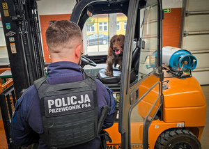 Szkolenie policyjnych psów